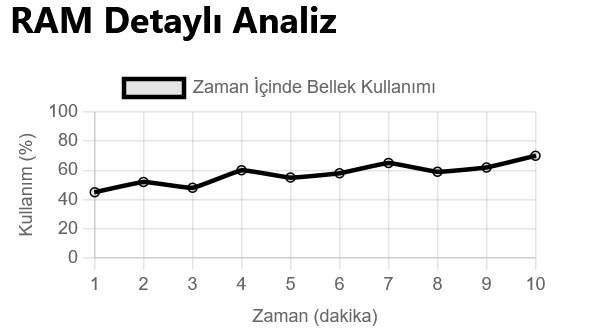 “Darboğaz Hesaplayıcısında detaylı RAM performans dökümü ekran görüntüsü; bellek kullanım desenlerini ve bunların sistem performansına etkilerini vurguluyor.”